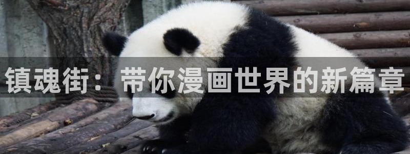 yy漫画免费入口：镇魂街：带你漫画世界的新篇章
